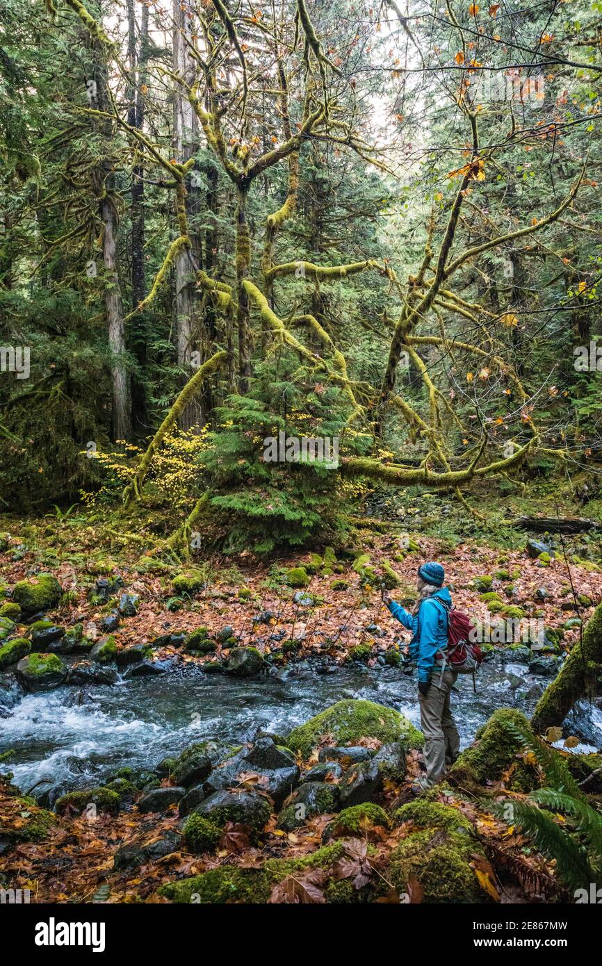 Eine Frau, die entlang des Slate Creek im Bereich Staircase Rapids im Olympic National Park, Washington, USA, fotografiert. Stockfoto