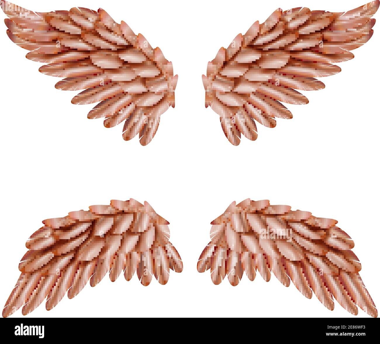 Zwei Paare kleiner brauner Vogelflügel, die isoliert auf gesetzt sind Weißer Hintergrund realistische Vektordarstellung Stock Vektor