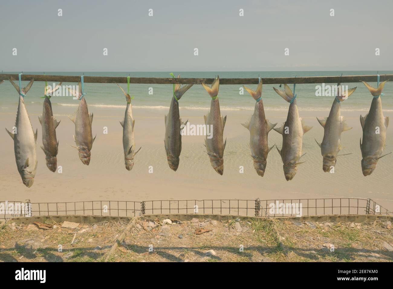 Bild von frisch gefangene Fische gefesselt und aufgehängt für Bewahrung in der Nähe der Küste am Strand in Hua Hin Thailand zu trocknen Stockfoto