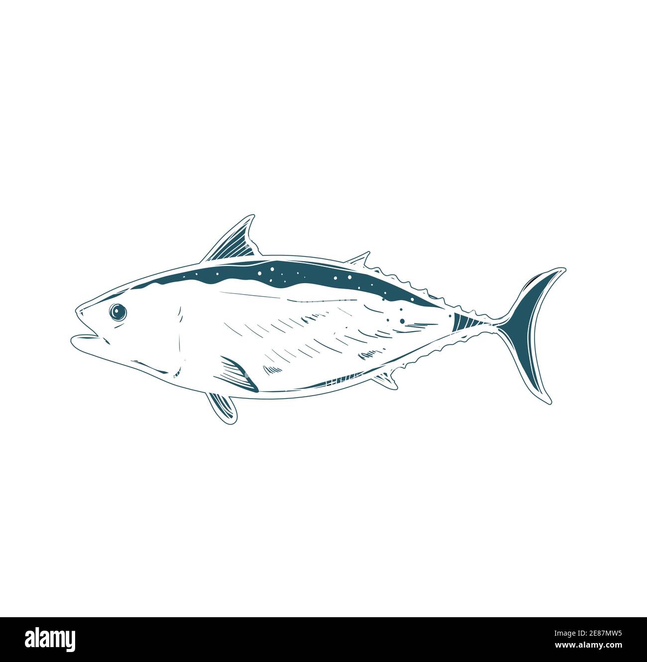Lachs Fisch Vektor-Logo und echte Illustration Stock Vektor