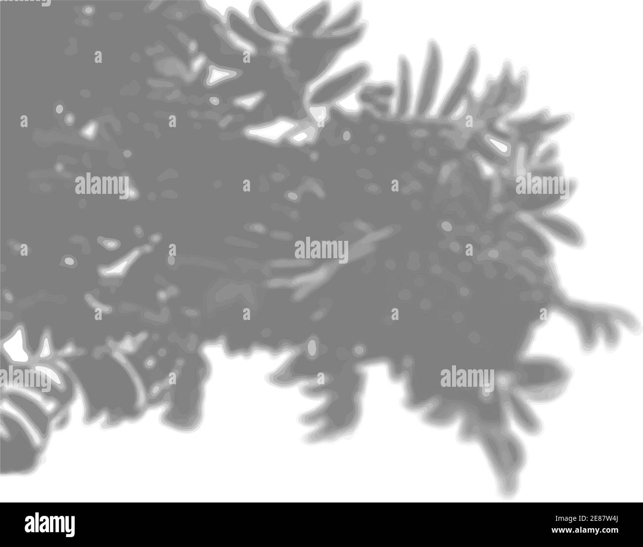 Natürliches Licht wirft Schatten von einem Rowan-Zweig auf einen weißen isolierten Hintergrund. Der Effekt von Schatten. Transparentes weiches Licht und Schatten von Stock Vektor