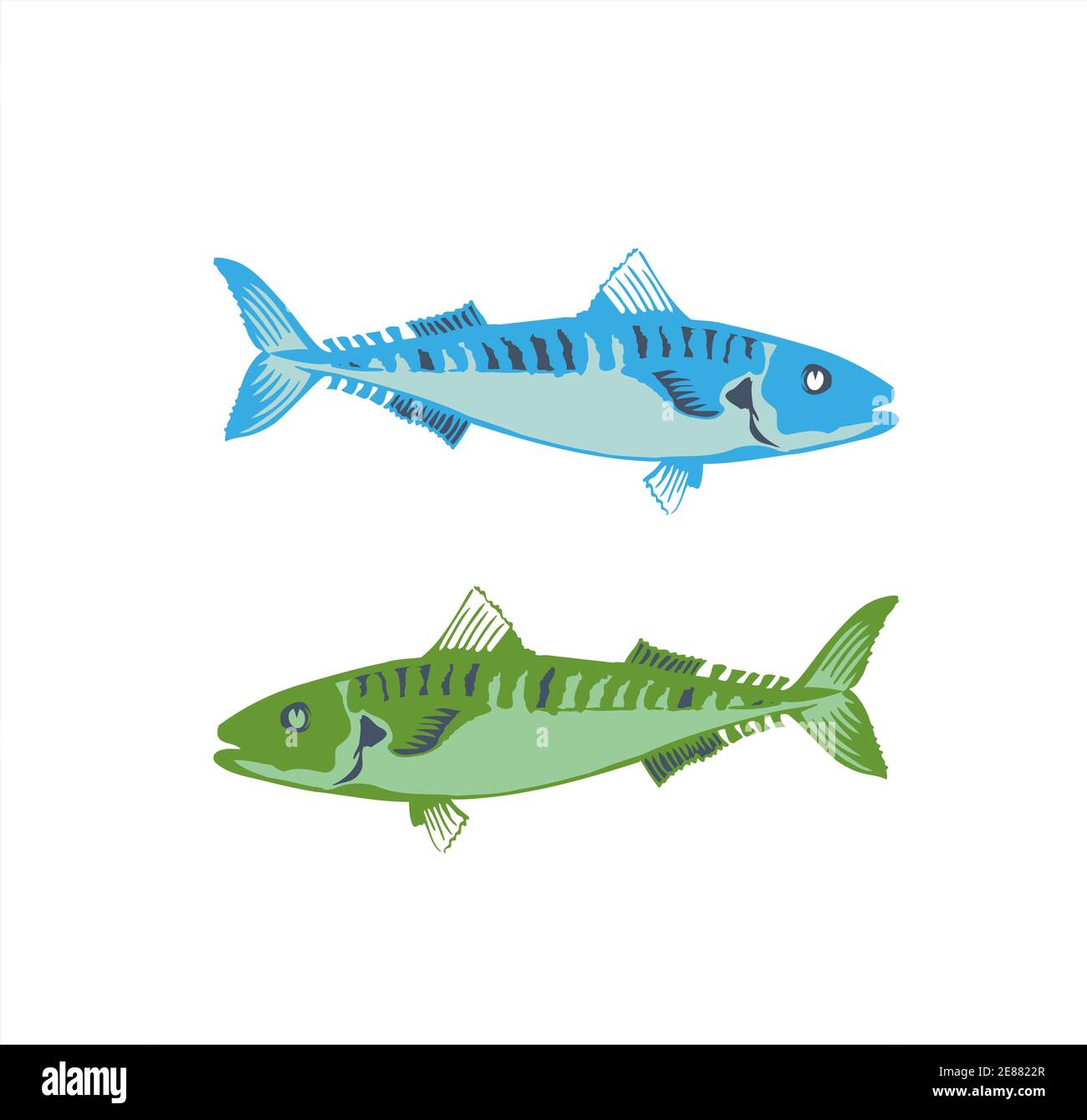 barracuda Fisch im Meer Vektor-Logo und Abbildung Stock Vektor