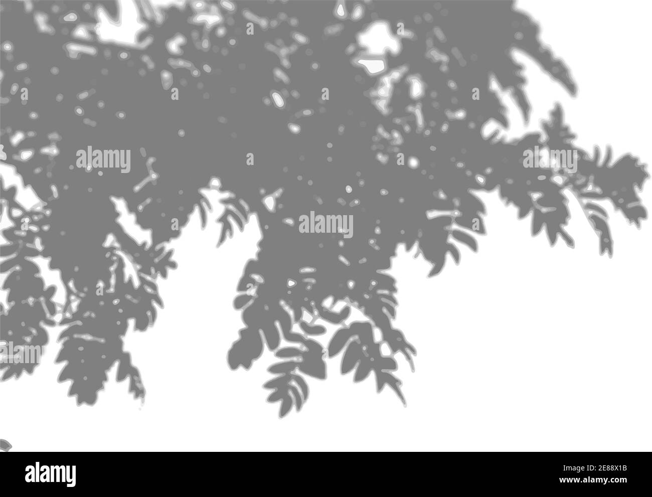 Natürliches Licht wirft Schatten von einem Rowan-Zweig auf einen weißen isolierten Hintergrund. Der Effekt von Schatten. Transparentes weiches Licht und Schatten von Stock Vektor