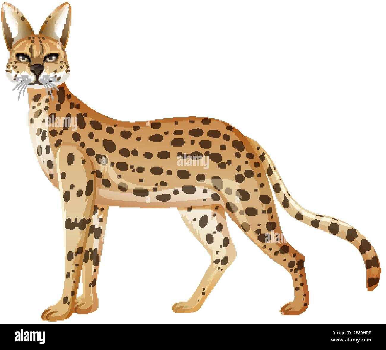 Serval Tier isoliert auf weißem Hintergrund Illustration Stock Vektor