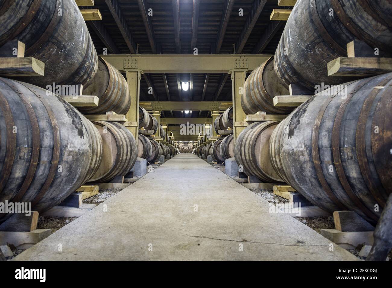 Fässer mit Whisky-Alterung im Lager der Glen Garioch Distillery, Inverurie, Aberdeenshire, Schottland Stockfoto