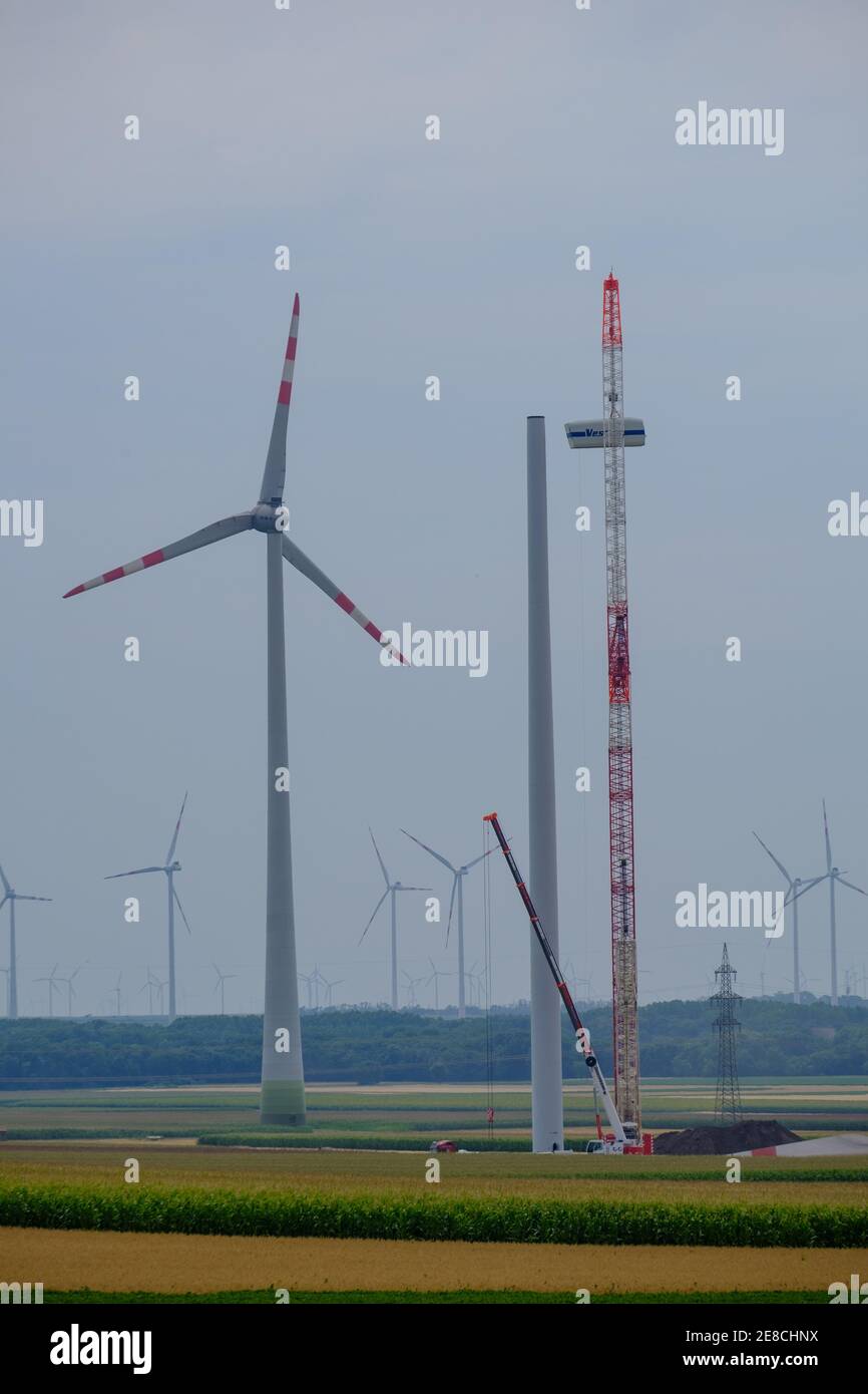 petronell, österreich, 10. juli 2018, Repowering eines Windparks mit einem Raupenkran Stockfoto