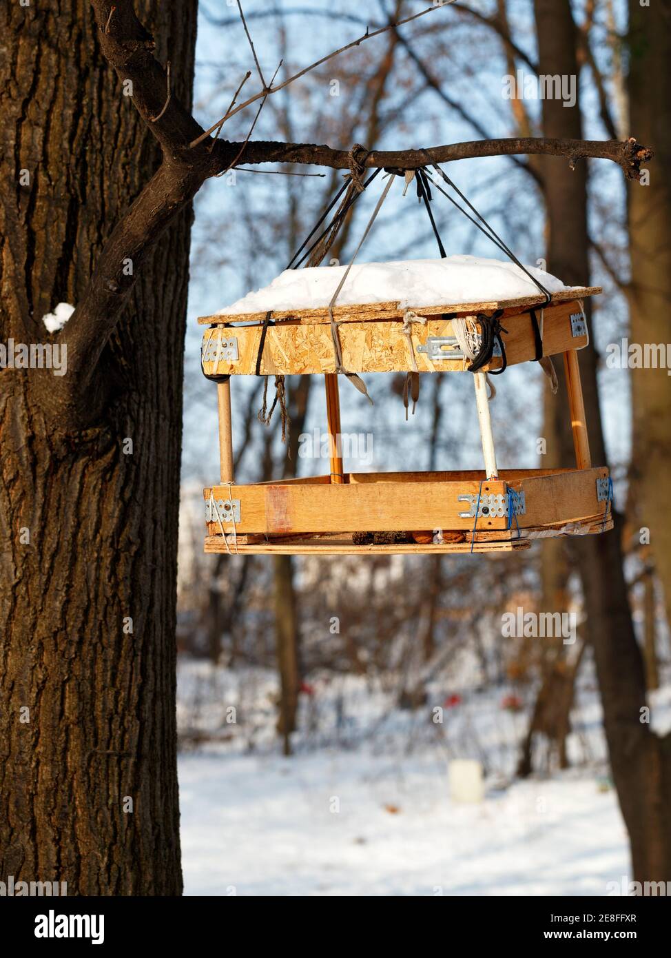 Ein Vogelfutterhäuschen aus übrig gebliebenen Baumaterialien hängt an einem Baumzweig in einem Winterwald vor einem verschwommenen Hintergrund von Busch und Sonnenlicht. Stockfoto