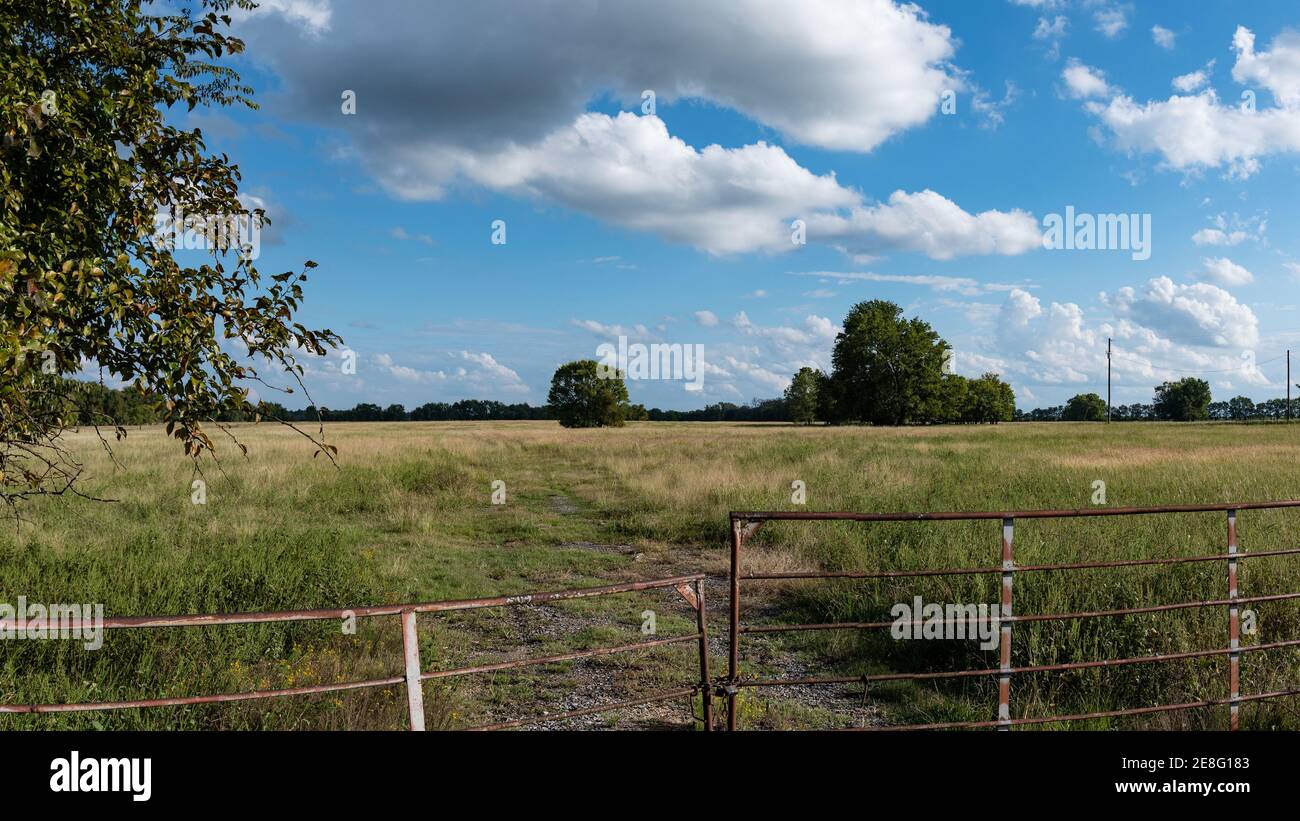 Country Banner Hintergrund eines Reifenpannenweges, der in eine Weide mit Metalltor im Vordergrund führt. Stockfoto