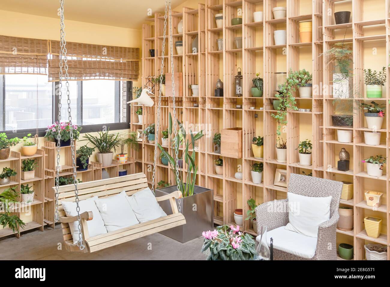 Schönes Wohnzimmer mit Schaukel Stuhl und Stock Sofa, stilvolle grüne  Pflanzen und Dekorationen auf Holzregalen Stockfotografie - Alamy