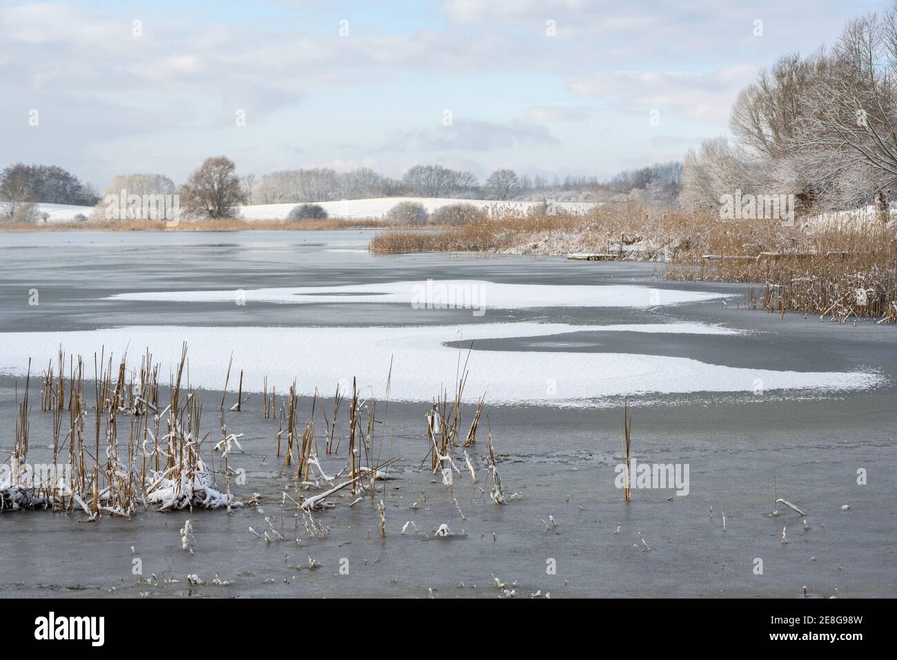 Schöne Seenlandschaft im Winter mit teilweise gefrorenem Wasser, Schilf, Bäumen und Schnee auf den Feldern im Hintergrund, blasser Himmel mit Wolken und Kopie Stockfoto