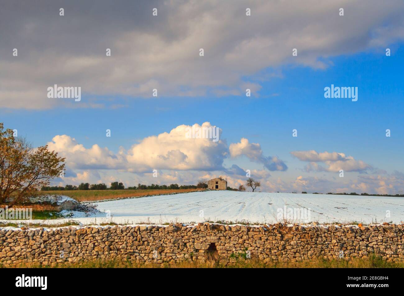 Ländliche Landschaft Winter: Bauernhof mit Baum in einem schneebedeckten Feld.Italien,Apulien. Stockfoto