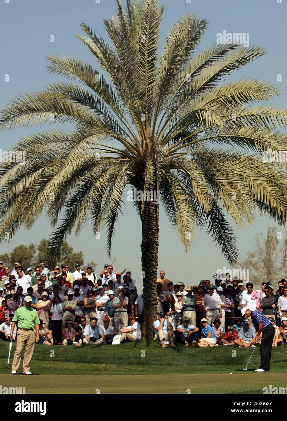 Tiger Woods von der US-Putts auf dem ersten grün als Südafrikas Retief Goosen (L) wartet in der dritten Runde das Dubai Desert Classic Golfturnier in Dubai 4. Februar 2006. REUTERS/Desmond Boylan Stockfoto