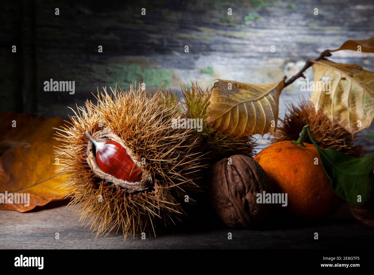Herbst Stillleben der Kastanie Mandarine und Walnuss.Autmn Stillleben der Kastanie Mandarine und Pillen. Makrofoto von auf Holztisch mit verfallener Bac Stockfoto