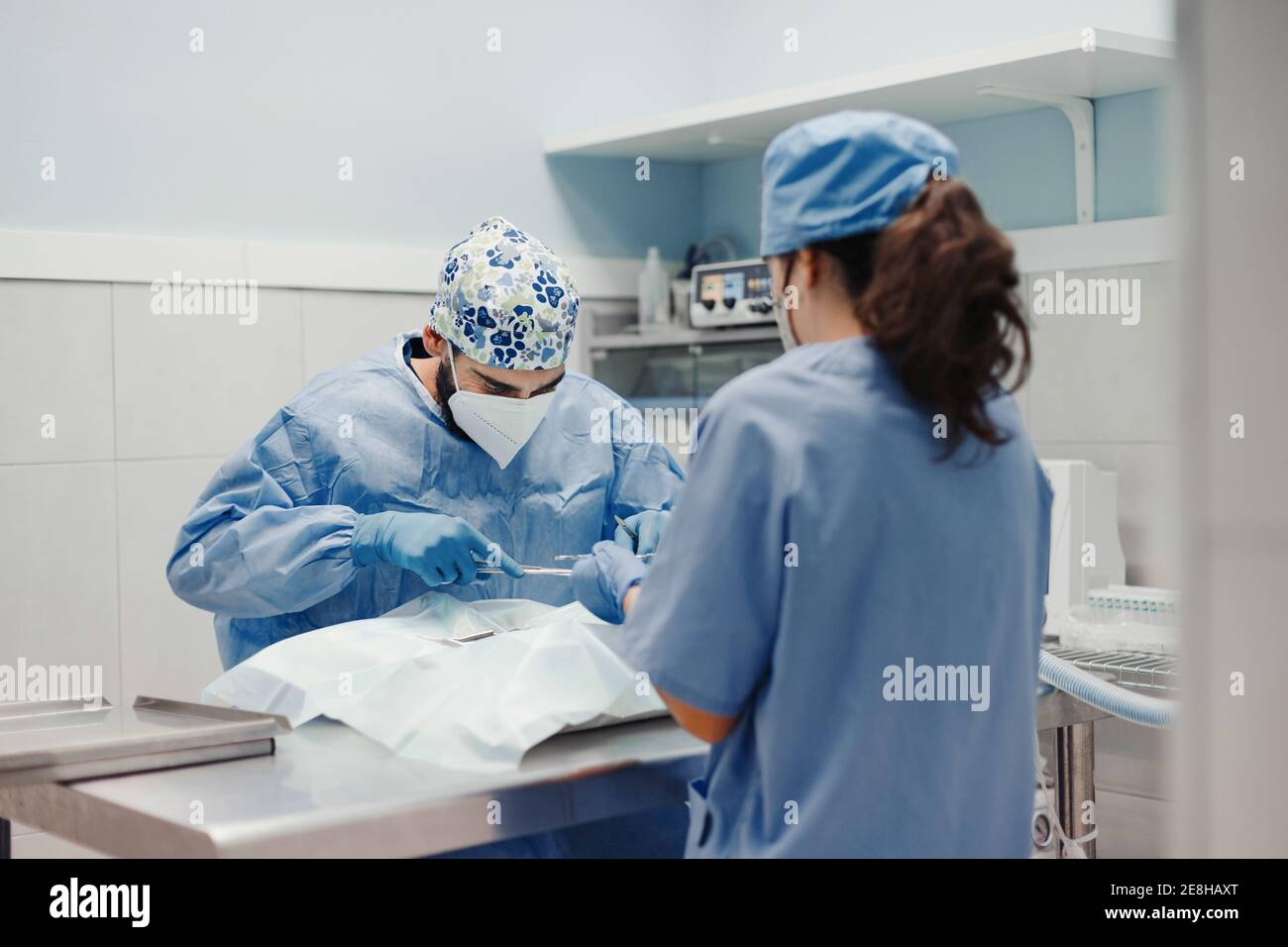 Nicht erkennbarer männlicher Tierarzt Operateur Tierpatient mit medizinischen Werkzeugen Neben der weiblichen Assistentin in der Uniform im Krankenhaus Stockfoto