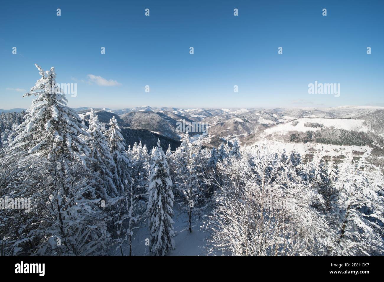 Blick über den verschneiten Schwarzwald in Süddeutschland im Winter vom Aussichtsturm Hochkopf bei Todtmoos. Stockfoto