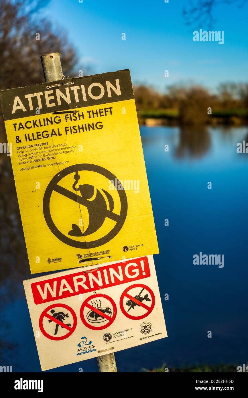 Illegale Fischerei Warnschild an einem Angelsee in Großbritannien. Angeln Warnschilder über Bekämpfung von Fischdiebstahl & illegale Fischerei. Stockfoto