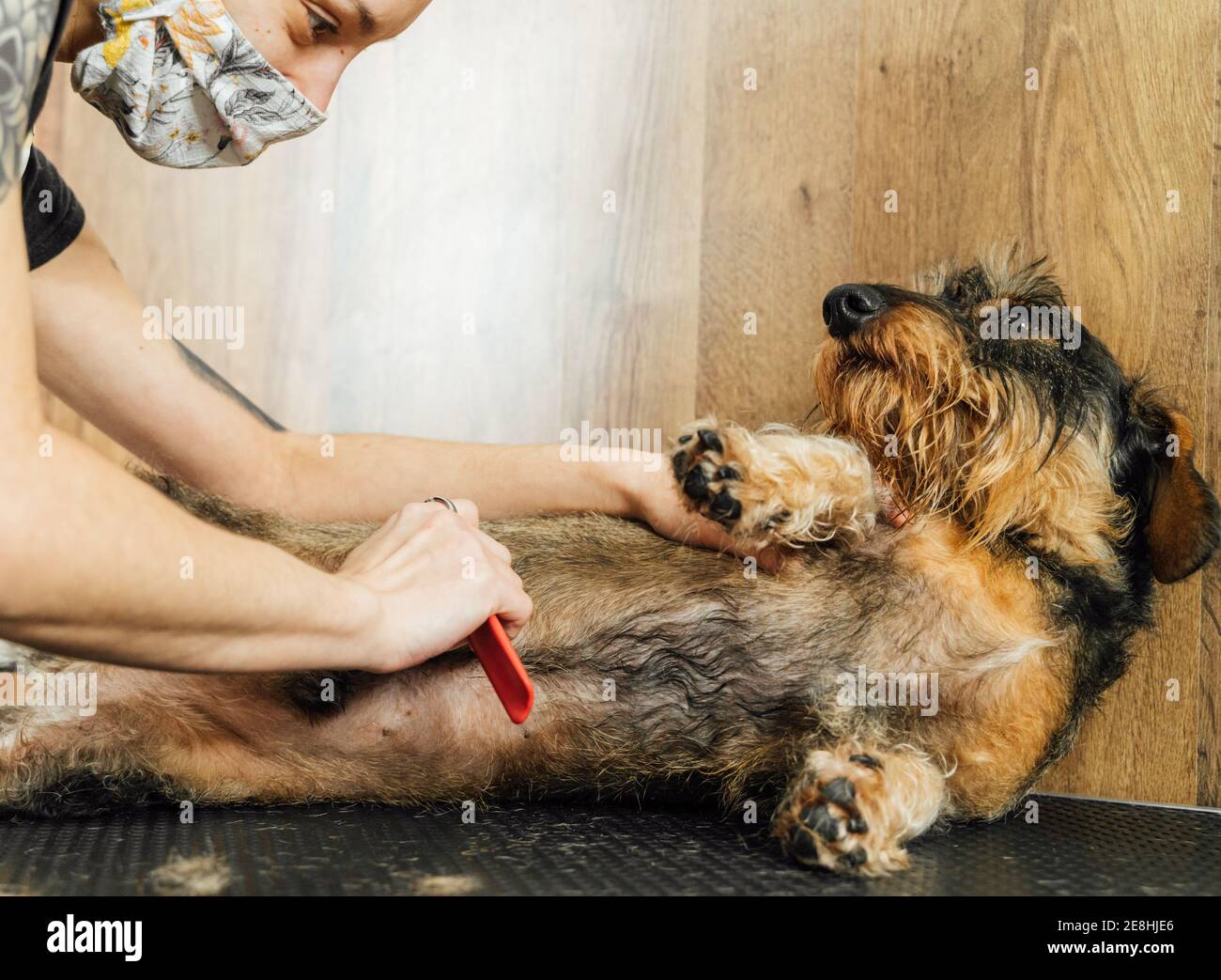 Moderne alternative ethnische weibliche Pause Tänzerin mit tätowierten Körper und Durchdringender Blick auf die Kamera Stockfoto