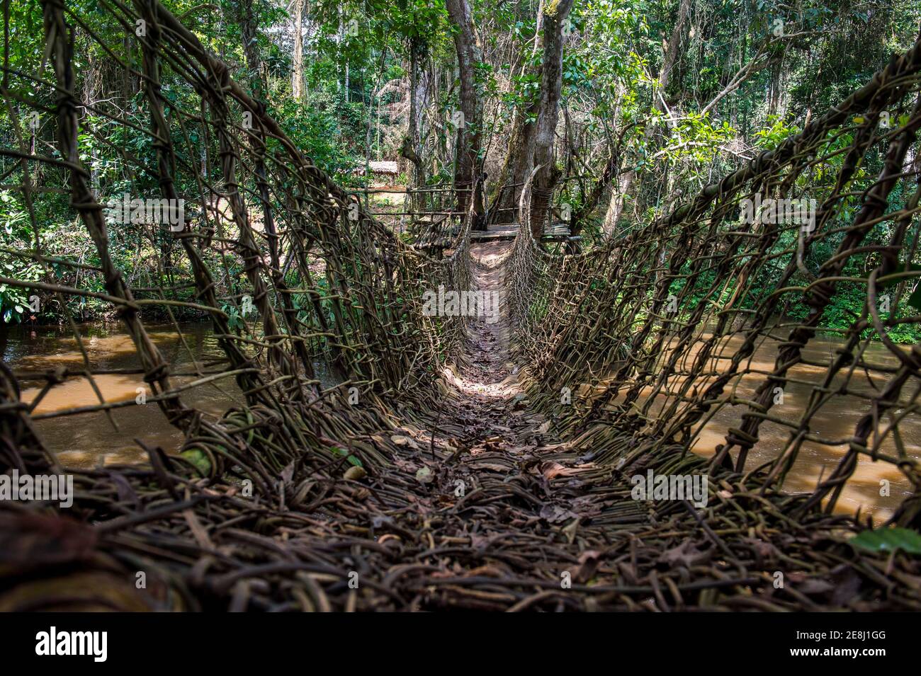 Handgemachte Weinbrücke in der UNESCO-Weltkulturerbe-Sehenswürdigkeit Dzanga-Sangha Park Zentralafrikanische Republik Stockfoto