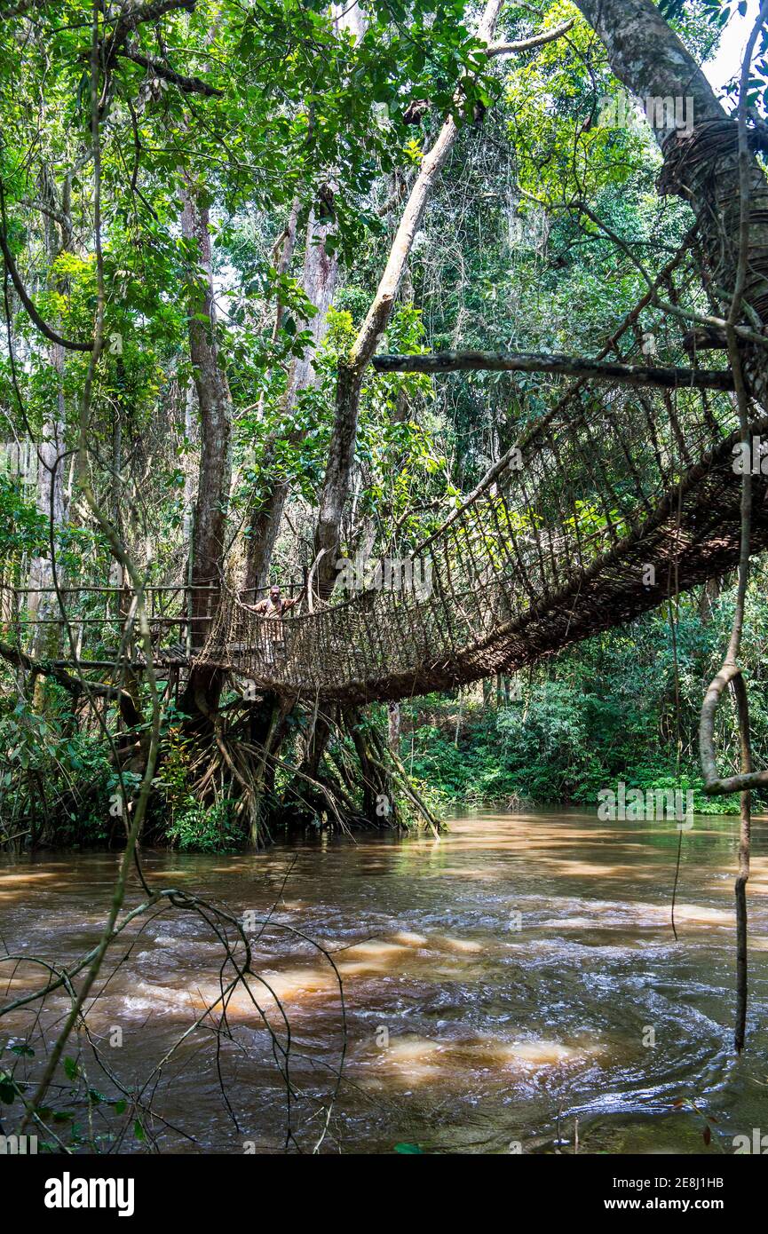 Handgemachte Weinbrücke in der UNESCO-Weltkulturerbe-Sehenswürdigkeit Dzanga-Sangha Park Zentralafrikanische Republik Stockfoto