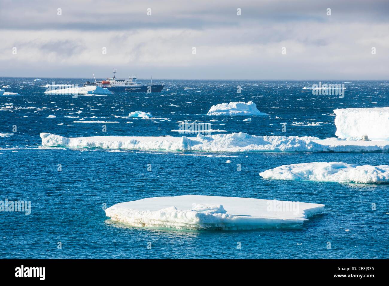 Kreuzfahrtschiff hinter Eisbergen, Brown Bluff, Tabarin-Halbinsel, Antarktis Stockfoto