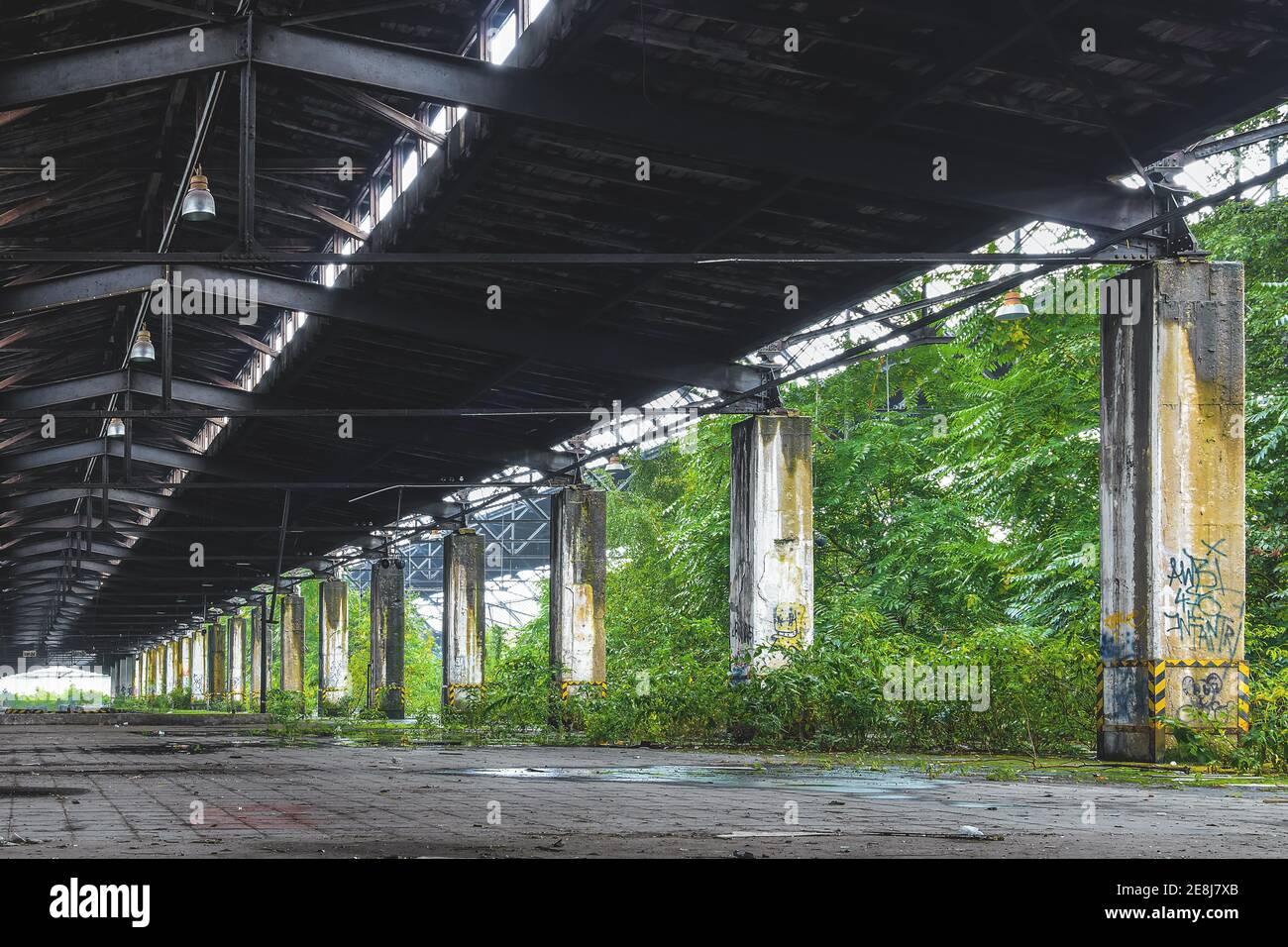 Ehemaliger Güterbahnhof, baufällig, Lost Place, Duisburger Güterbahnhof, Duisburg, Nordrhein-Westfalen, Deutschland Stockfoto