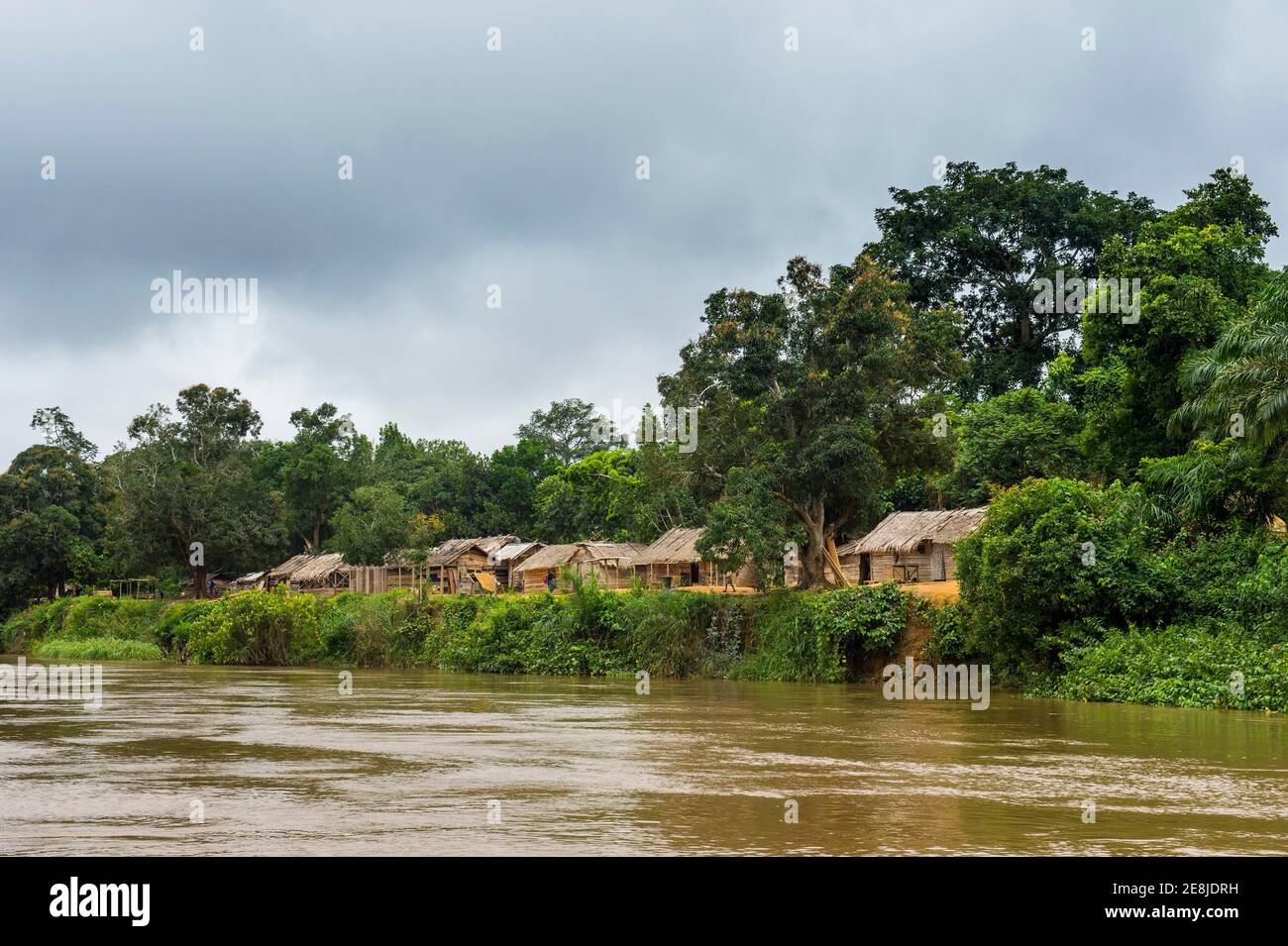 Sangha Fluss, angrenzend an C.A.R., tief im Dschungel von Kamerun Stockfoto