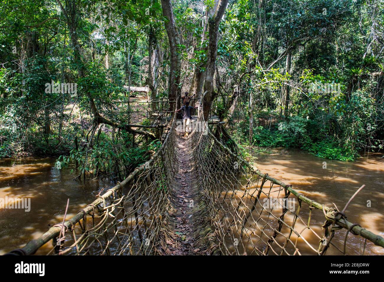 Handgemachte Weinbrücke in der UNESCO-Weltkulturerbe-Sehenswürdigkeit Dzanga-Sangha Park Zentralafrikanische Republik Stockfoto
