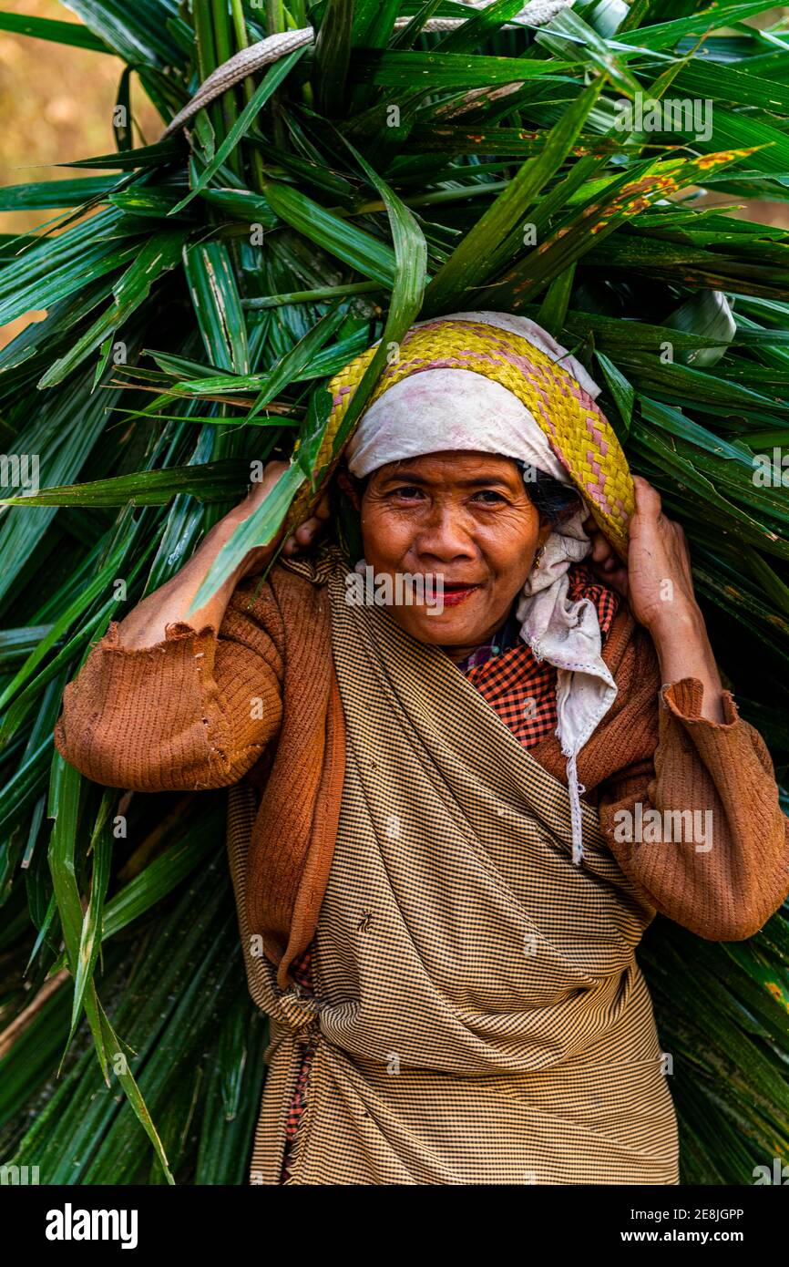 Tribal khasi Frau trägt ein riesiges Palmblatt, Sohra oder Cherrrapunjee, Meghalaya, Indien Stockfoto