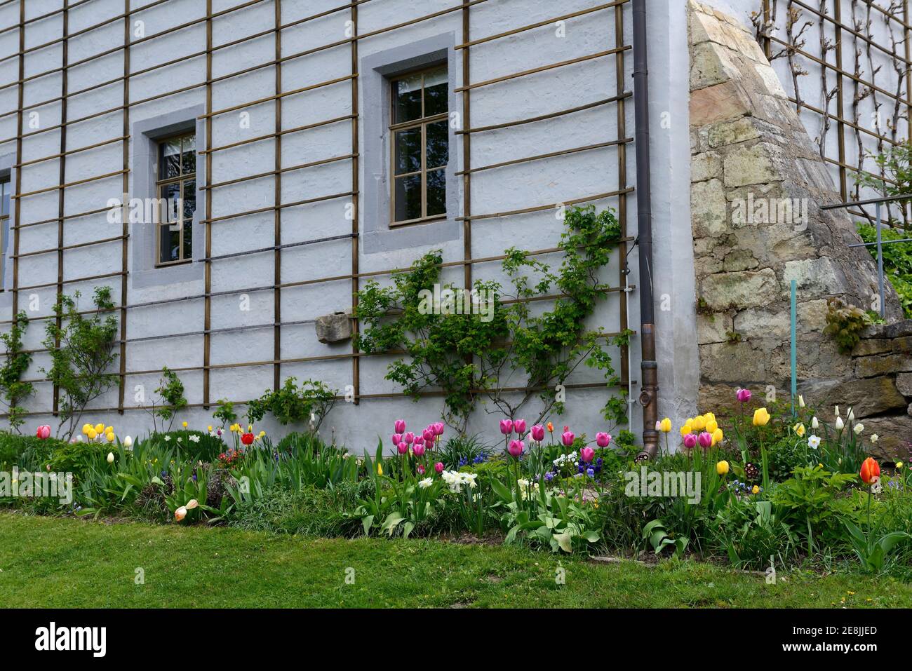 Blumenbeet in Goethes Gartenhaus, Weimar, Thüringen, Deutschland Stockfoto