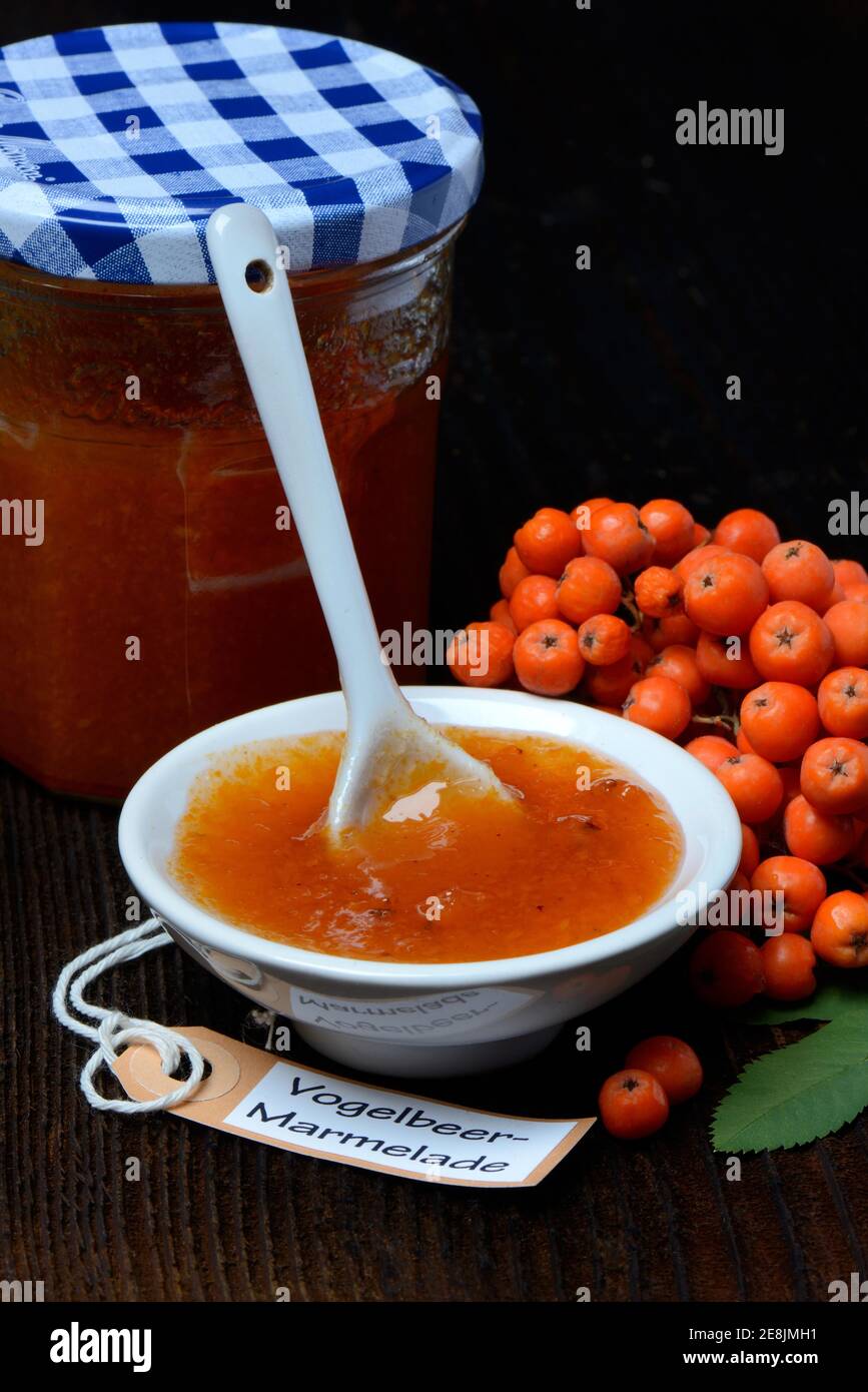 Schüssel mit Eberesche Marmelade und n ( Sorbus aucuparia) Stockfoto