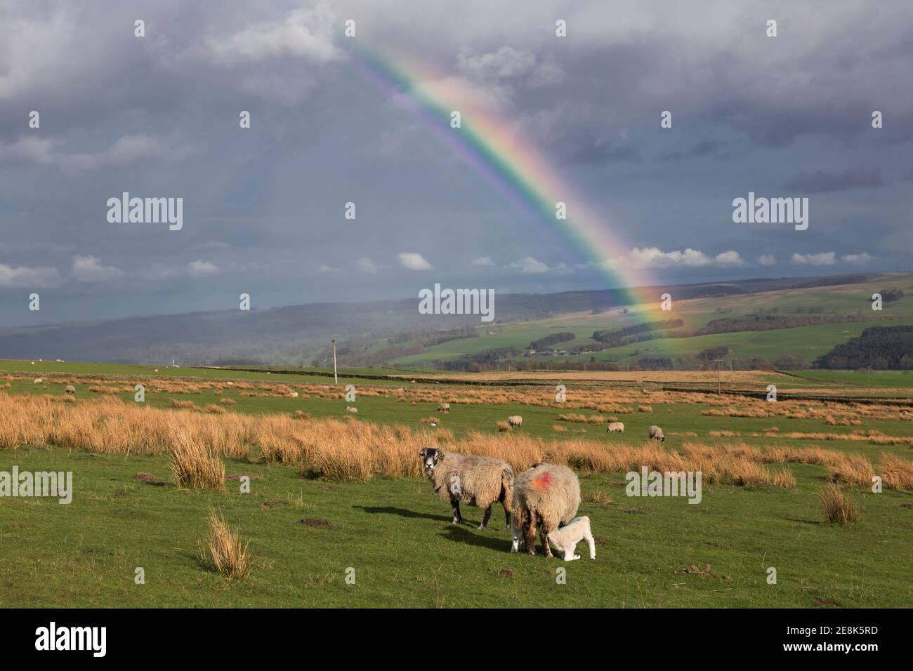 Ein Regenbogen erleuchtet die Fells und das South Tyne Valley dahinter, ein wenig südöstlich von Hadrians Mauer bei Walltown, Northumberland, Großbritannien Stockfoto