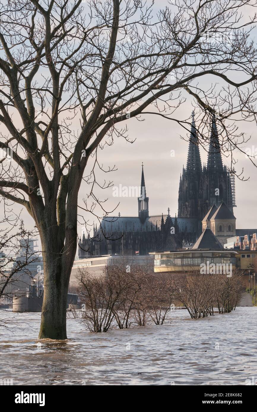 Hochwasser am Rhein in Köln. Im Hintergrund der Kölner Dom. Der Weg, auf dem Touristen normalerweise spazieren, ist völlig überflutet Stockfoto