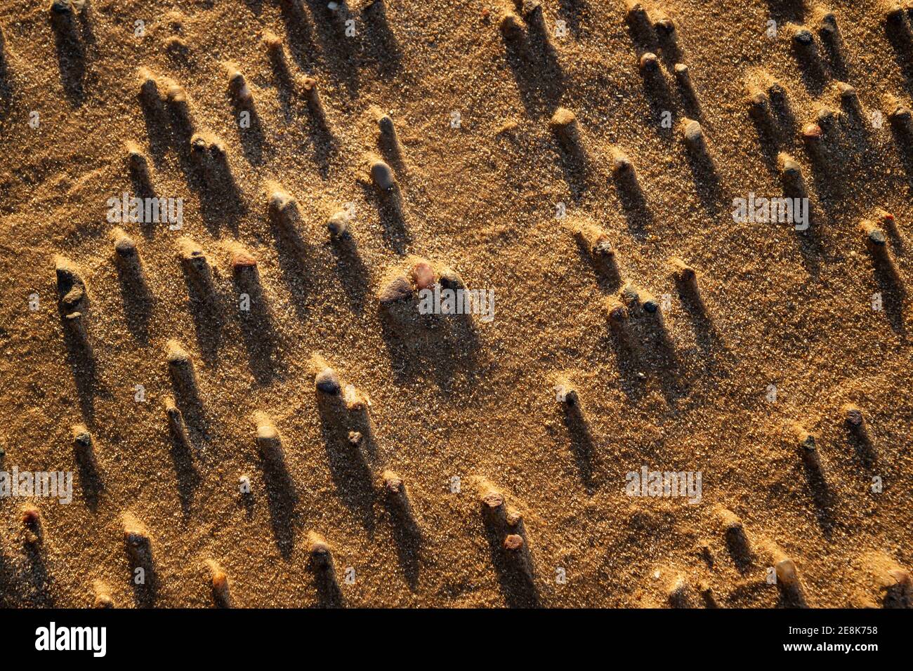 Sandstrand mit kleinen Steinen, Sandhintergrund Stockfoto
