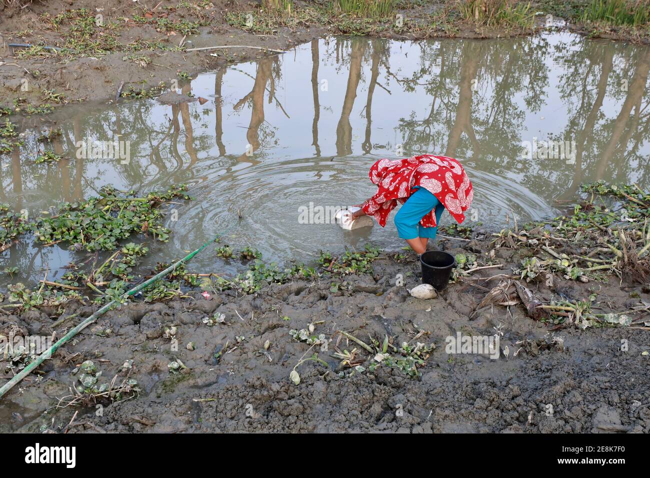 Bagerhat, Bangladesch - 21. Januar 2021: Die Wirkung von Salzwasser ist mehr in den Küstengebieten von Bangladesch. Die Menschen in dieser Region leiden viel unter f Stockfoto