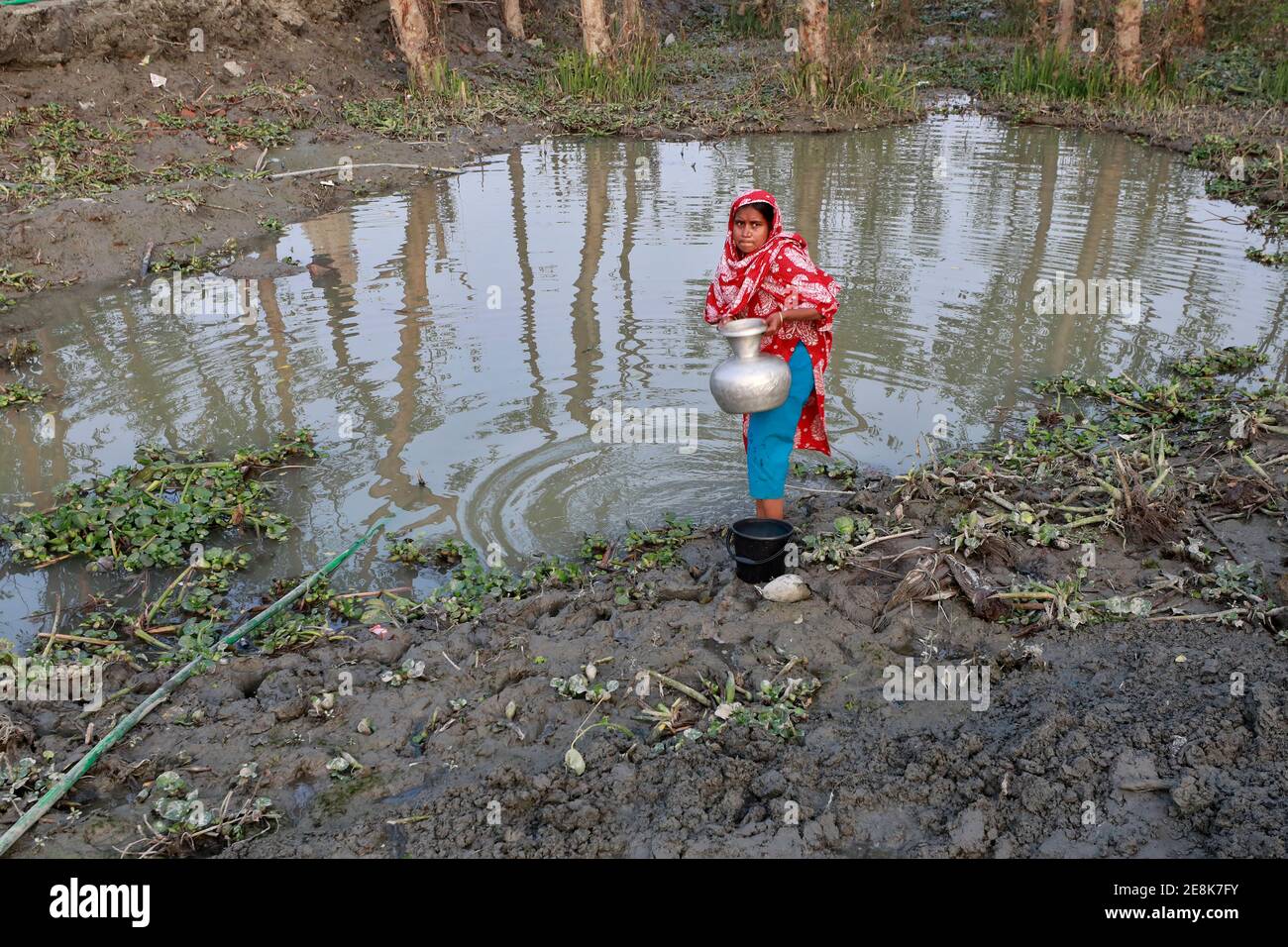 Bagerhat, Bangladesch - 21. Januar 2021: Die Wirkung von Salzwasser ist mehr in den Küstengebieten von Bangladesch. Die Menschen in dieser Region leiden viel unter f Stockfoto