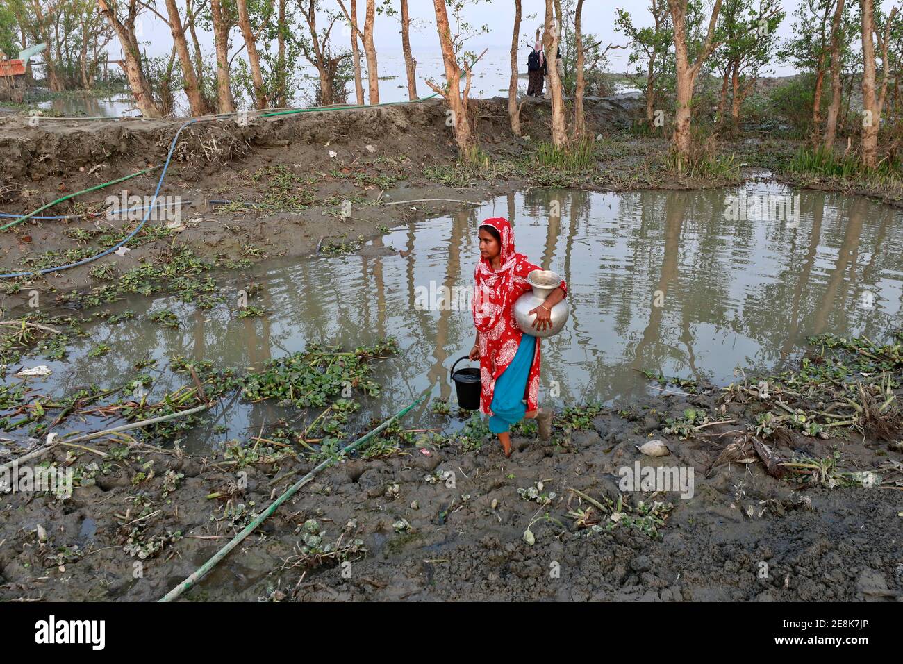 Bagerhat, Bangladesch - 21. Januar 2021: Die Wirkung von Salzwasser ist mehr in den Küstengebieten von Bangladesch. Die Menschen in dieser Region leiden viel unter f Stockfoto