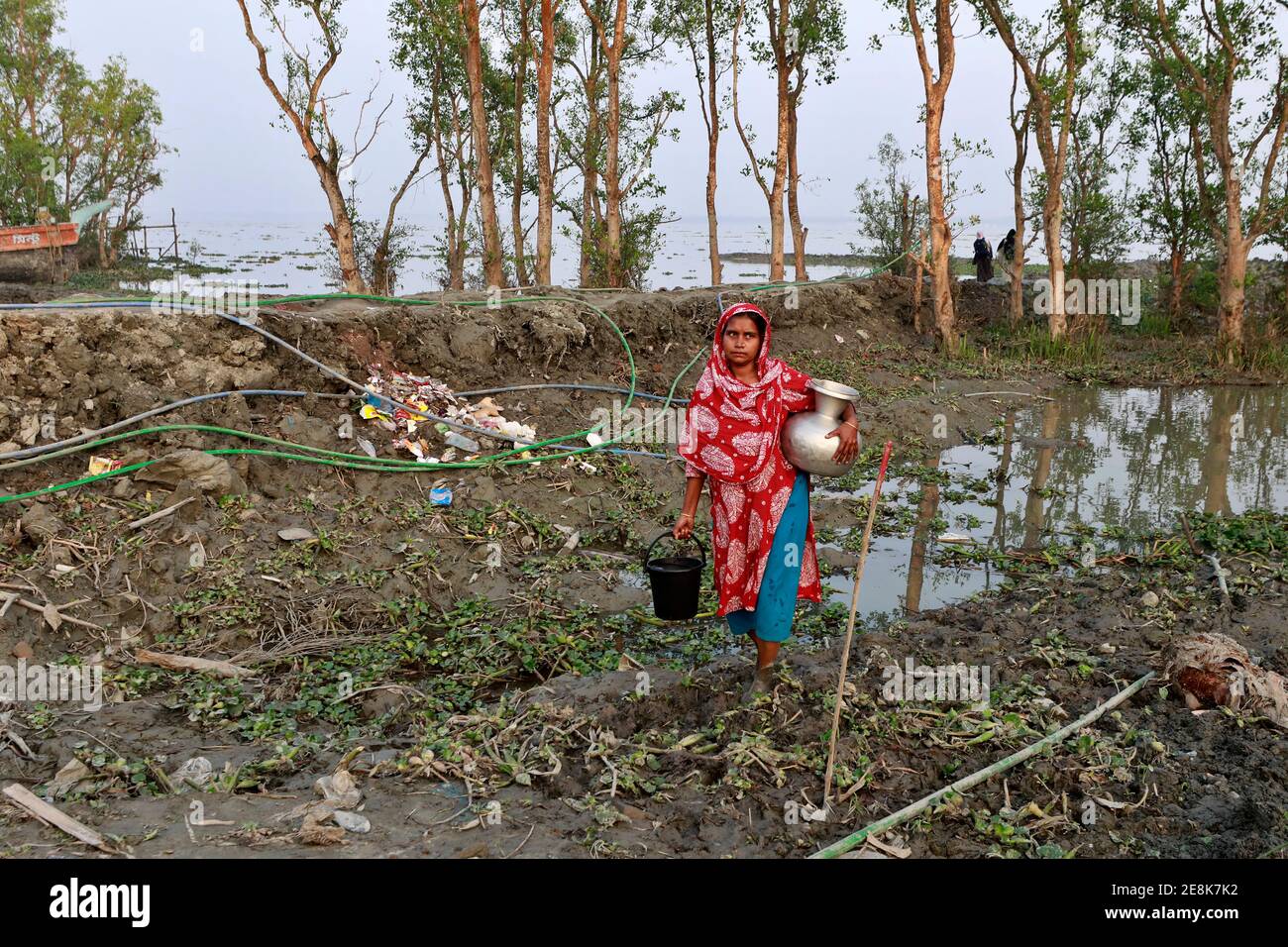 Bagerhat, Bangladesch - 21. Januar 2021: Die Wirkung von Salzwasser ist mehr in den Küstengebieten von Bangladesch. Die Menschen in dieser Region leiden viel unter f Stockfoto