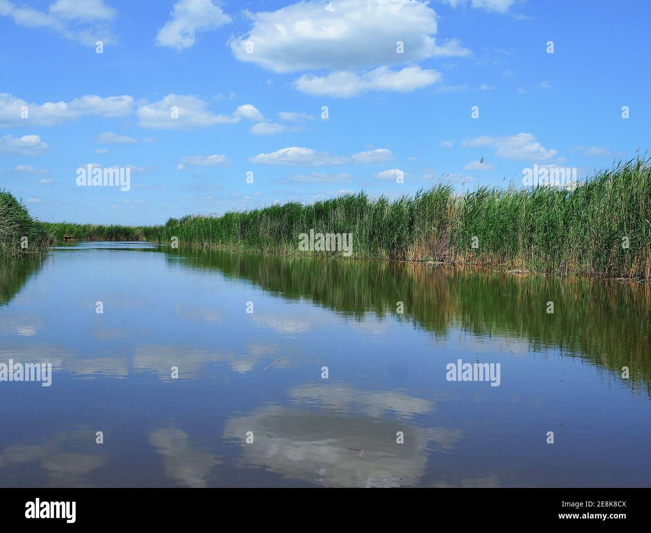 Blick auf den Neusiedler See, den Neusiedler See. Spiegelung des blauen Himmels mit Wolken. Rust, Burgenland, Österreich. Juni 2017. Stockfoto