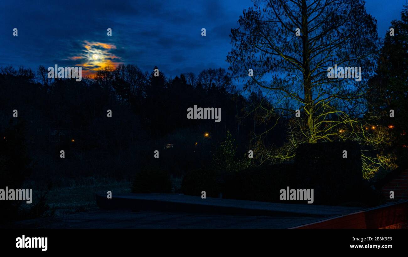 Vollmond in wolkiger Dunkler Nacht mit Bäumen Stockfoto
