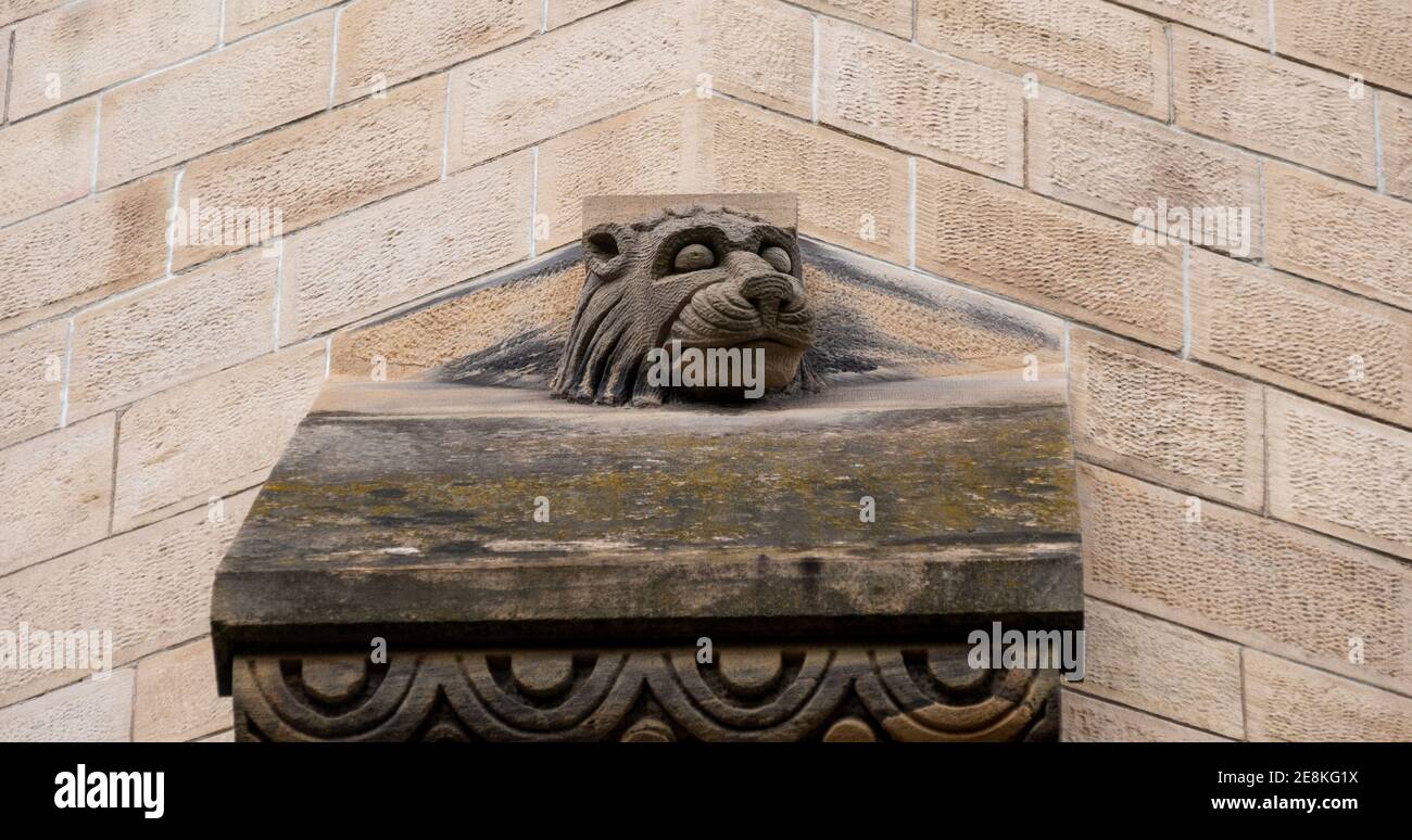 Löwenstatue an der Wand der Kirche Stockfoto