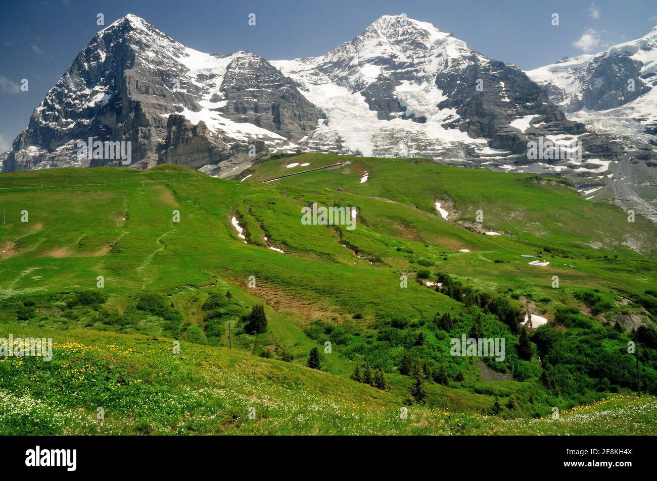 Almwiese unterhalb des Eiger, des Monchs und der Jungfrau. Stockfoto