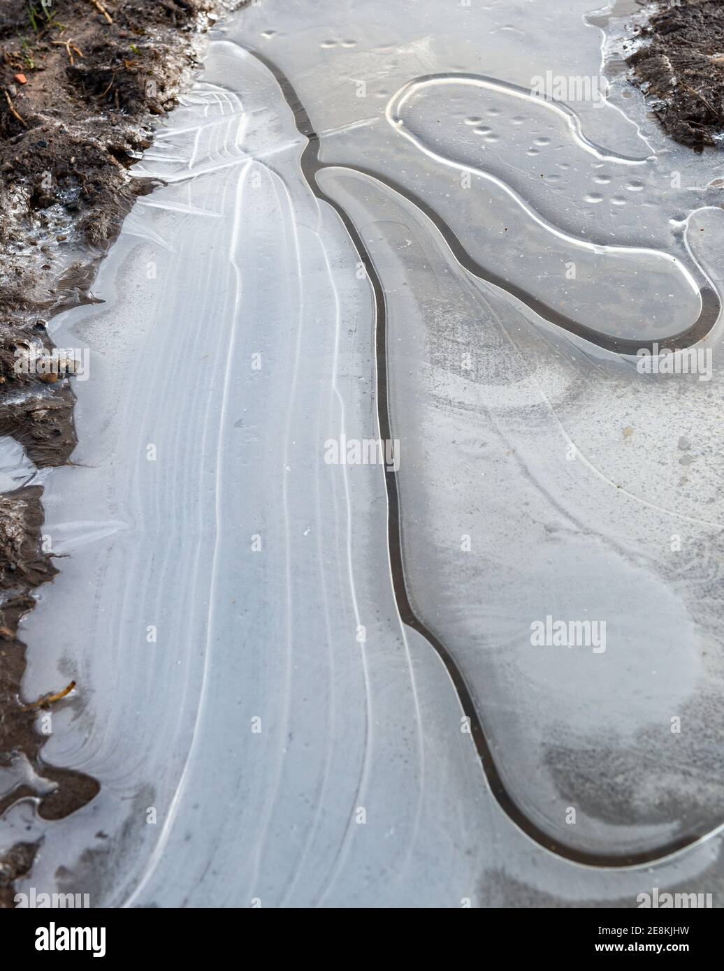 Eine gefrorene und wieder gefrorene Pfütze mit Linien und gekrümmt klar Risse Stockfoto