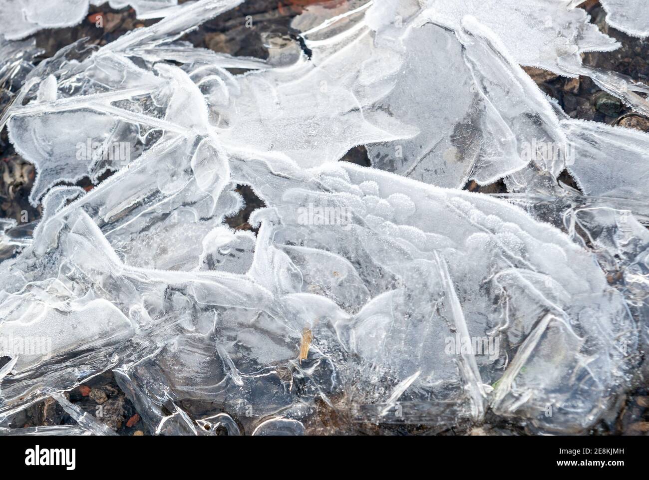 Eiskristalle wachsen über einen kleinen Strom bilden gerade und Krümmungsmuster Stockfoto