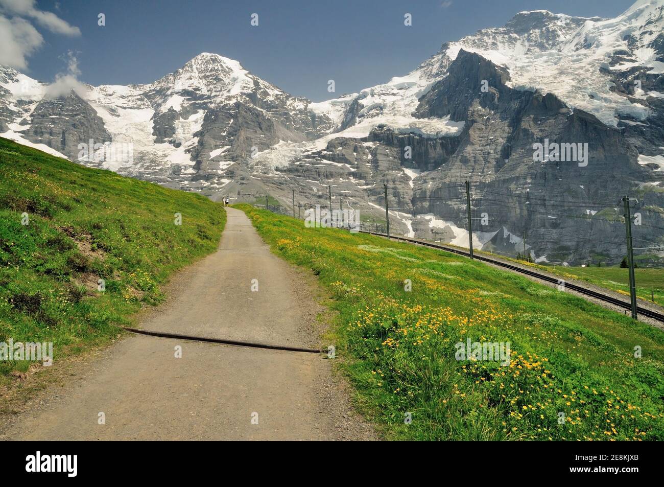 Der Bergweg von der Kleinen Scheidegg zur Wengernalp bietet mit der Wengernalpbahn einen ungestörten Blick auf Eiger, Mönch und Jungfrau. Stockfoto