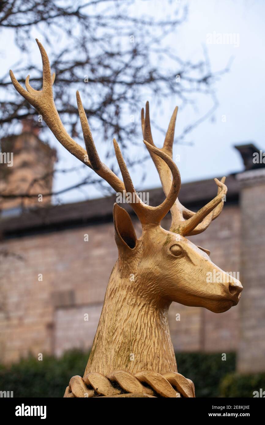 Goldfarbene Statue eines Hirschkopfes mit beeindruckendem Geweih Stockfoto