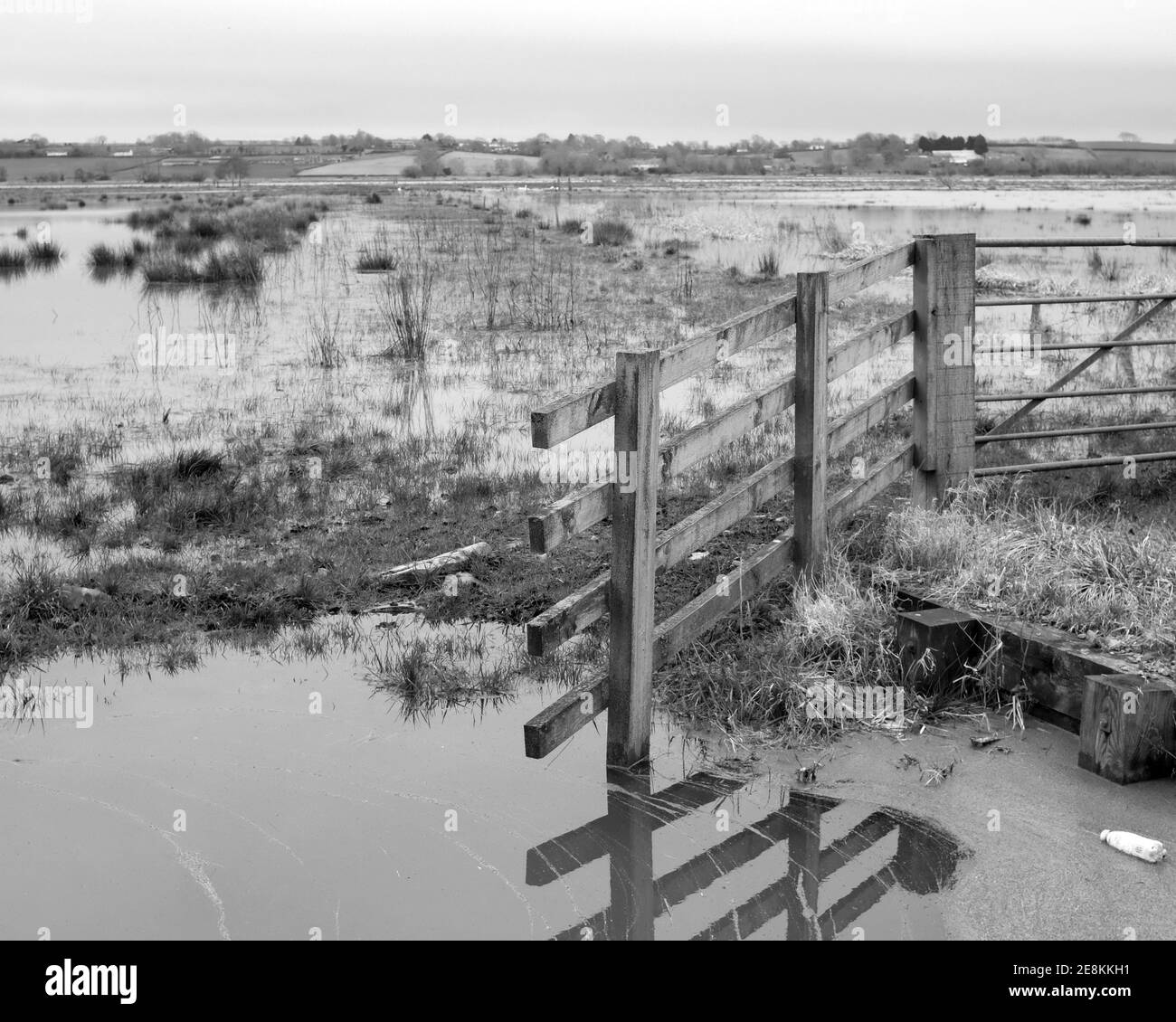 Januar 2021 - überflutetes Feld auf den Mooren zwischen Glastonbury & Wedmore in Somerset, UK Stockfoto