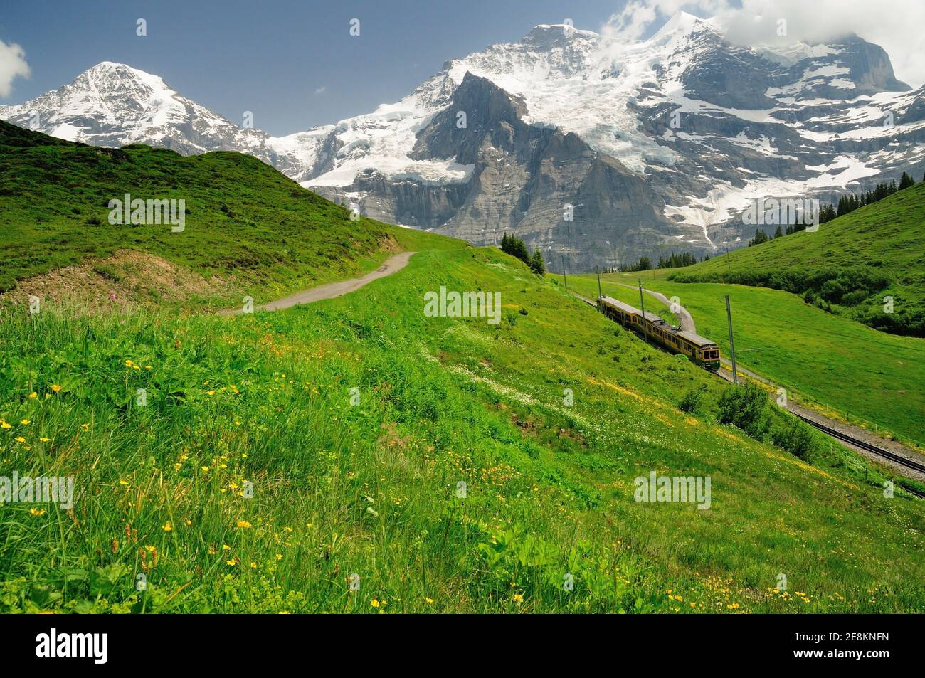Eine Wengernalpbahn auf der Schmalspurbahn in den Berner Alpen. Stockfoto