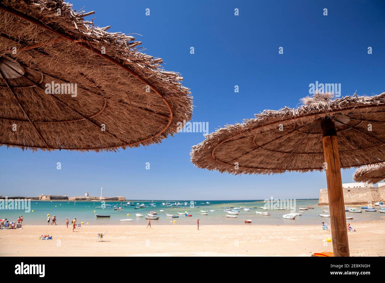 Palmen-Sonnenschirme am Strand von Cadiz, Spanien Stockfoto