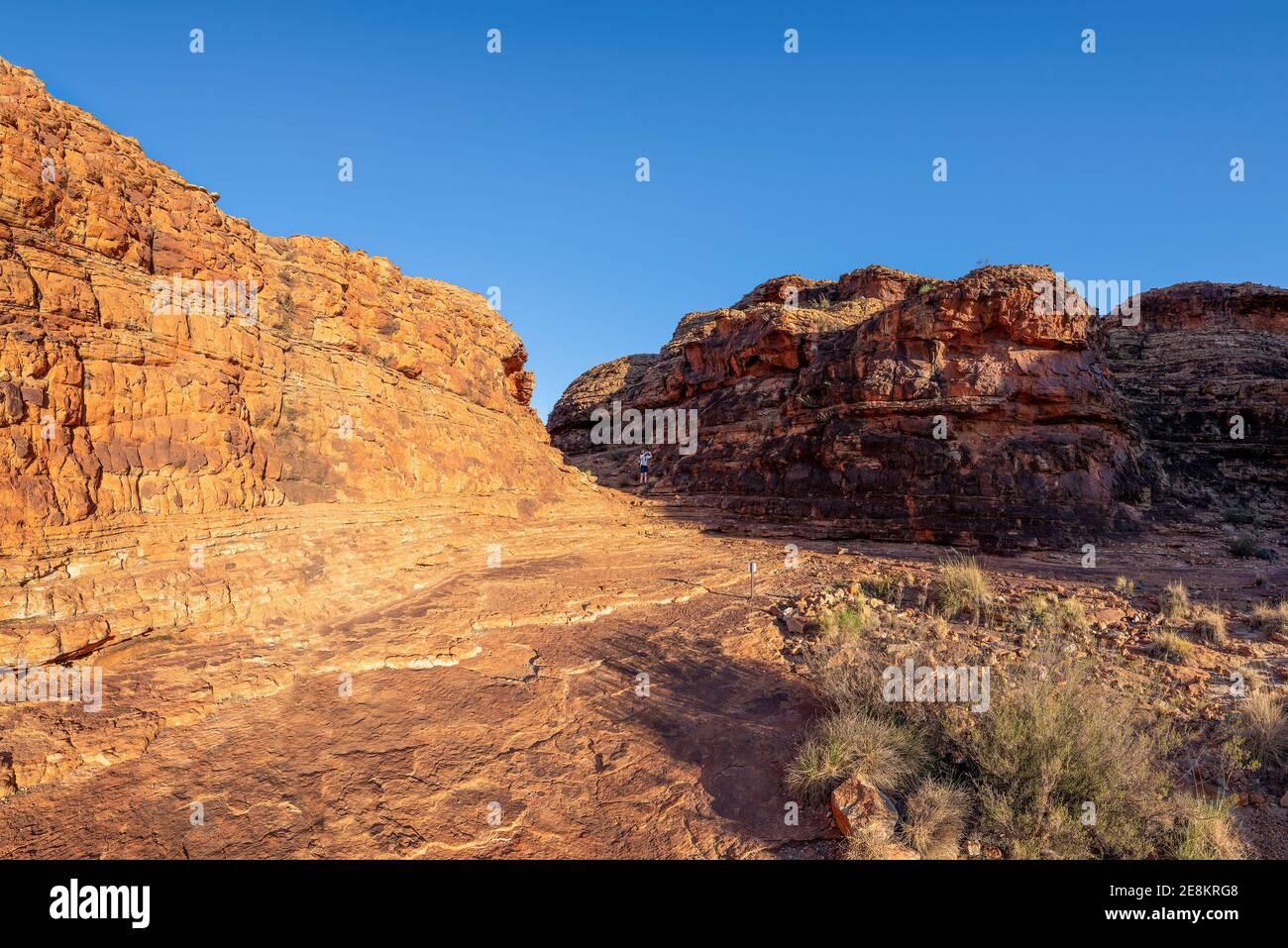 Kings Canyon ist Teil des Watarrka National Park, in der südwestlichen Ecke des Northern Territory. Der Park ist 450 Kilometer (280 Meilen) von Ali entfernt Stockfoto