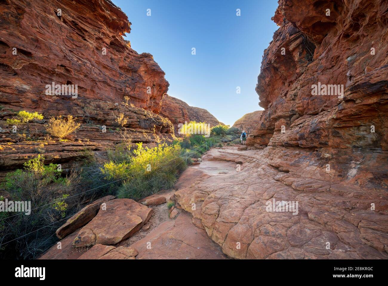 Kings Canyon ist Teil des Watarrka National Park, in der südwestlichen Ecke des Northern Territory. Der Park ist 450 Kilometer (280 Meilen) von Ali entfernt Stockfoto